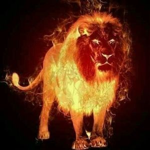 Meet your Posher, Lucrece